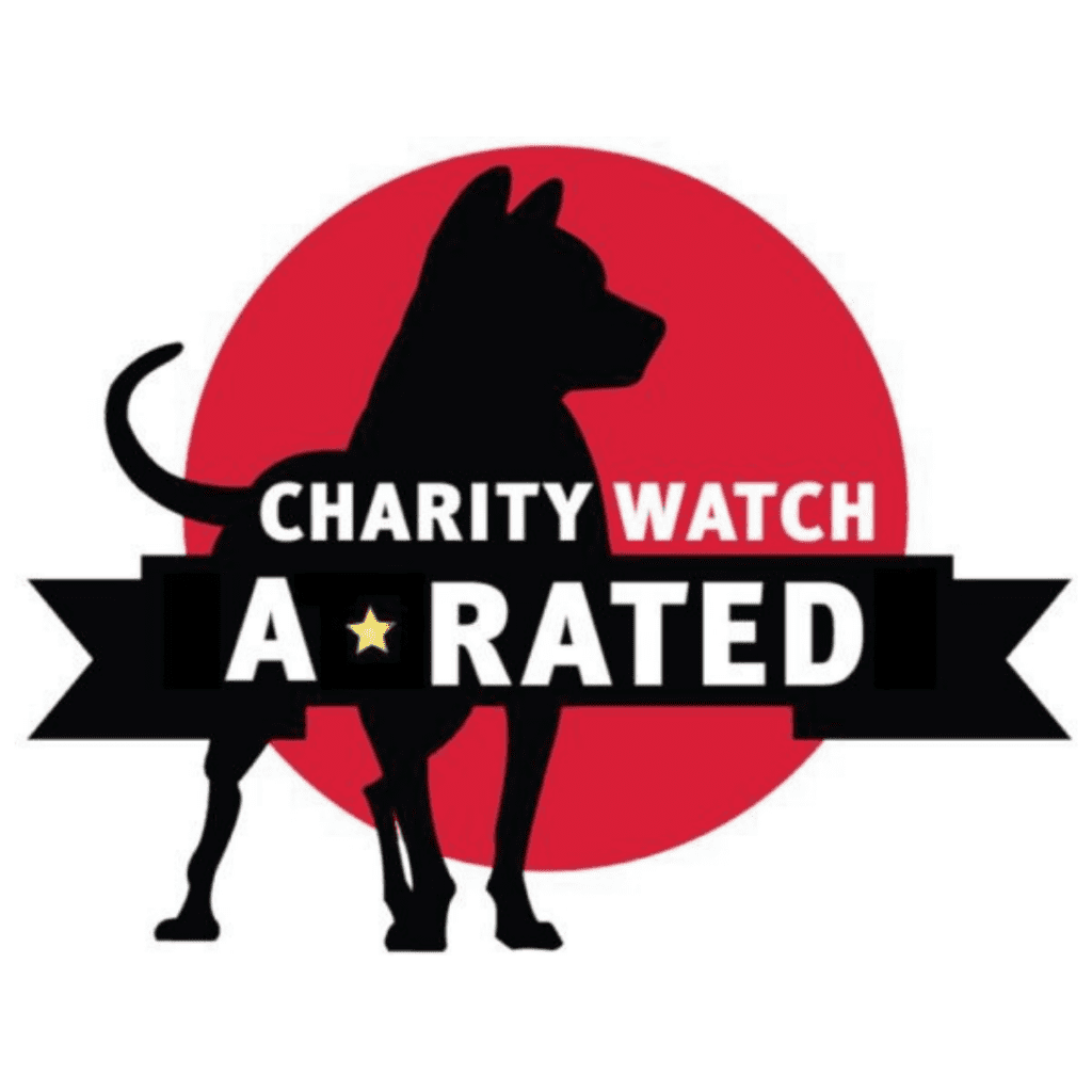 Sunshine Foundation earns A rating from CharityWatch