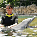 Jazmine swimming with the Dolphins at Discovery Cove